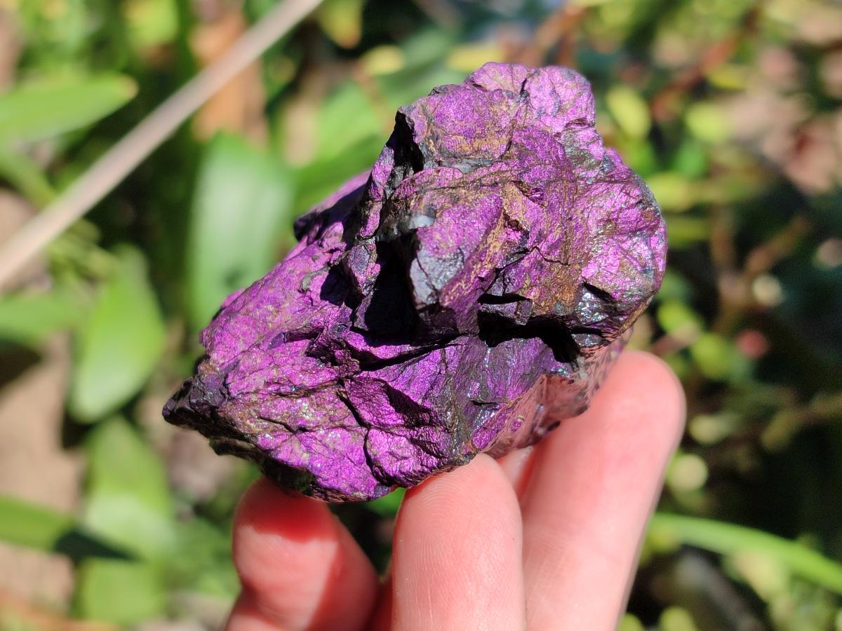 Natural Metallic Purpurite Specimens x 12 From Erongo, Namibia