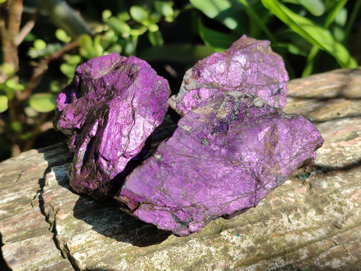Natural Metallic Purpurite Specimens x 12 From Erongo, Namibia
