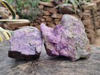 Natural Stichtite Cobbed Specimens x 3 From Barberton, South Africa