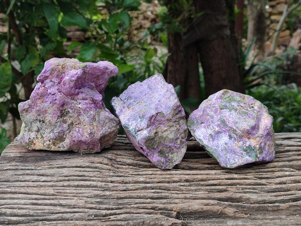 Natural Stichtite Cobbed Specimens x 3 From Barberton, South Africa
