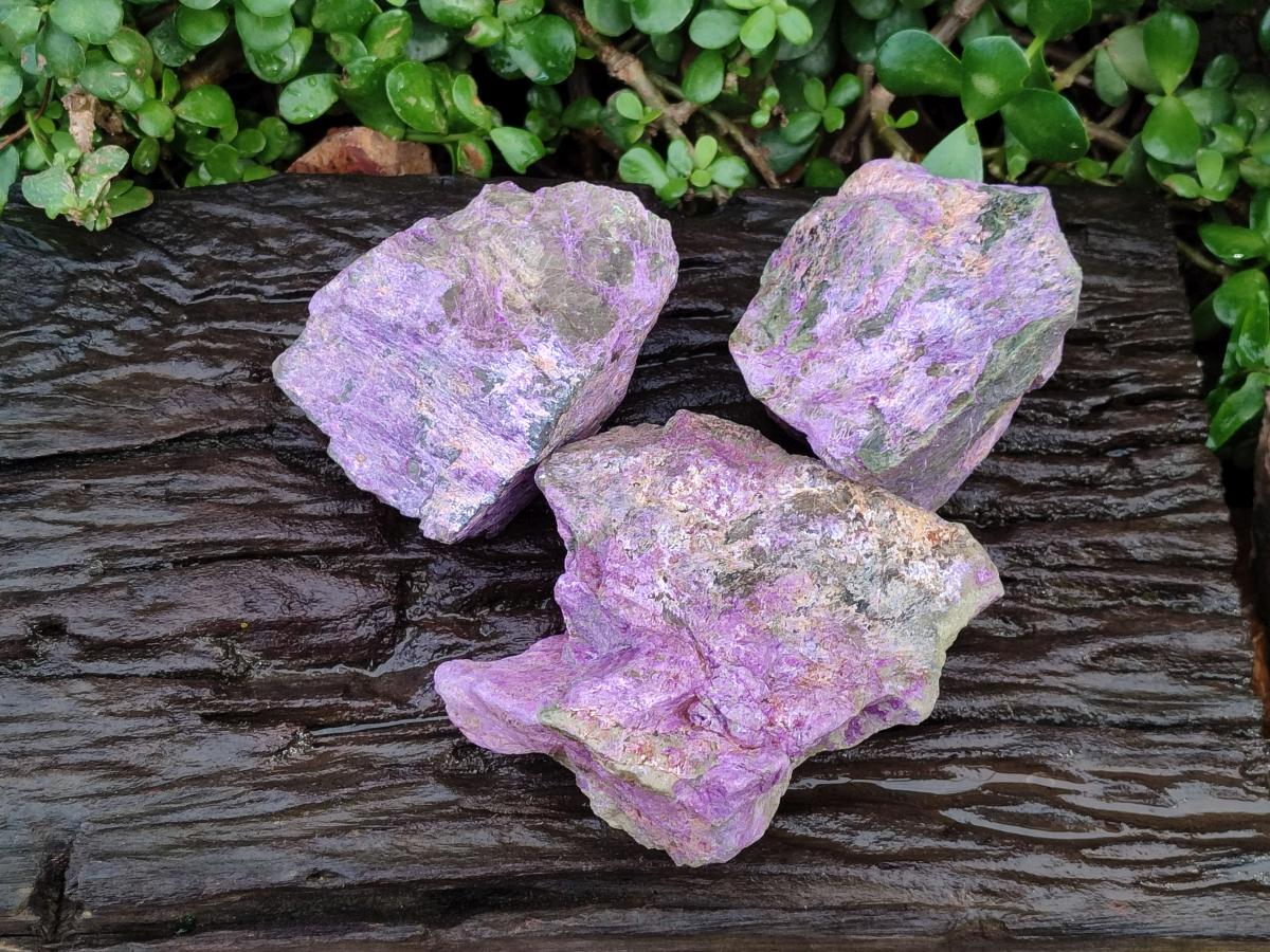 Natural Stichtite Cobbed Specimens x 3 From Barberton, South Africa