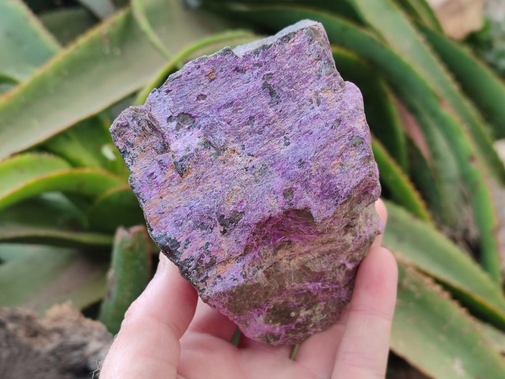 Natural Stichtite Cobbed Specimens x 3 From Barberton, South Africa