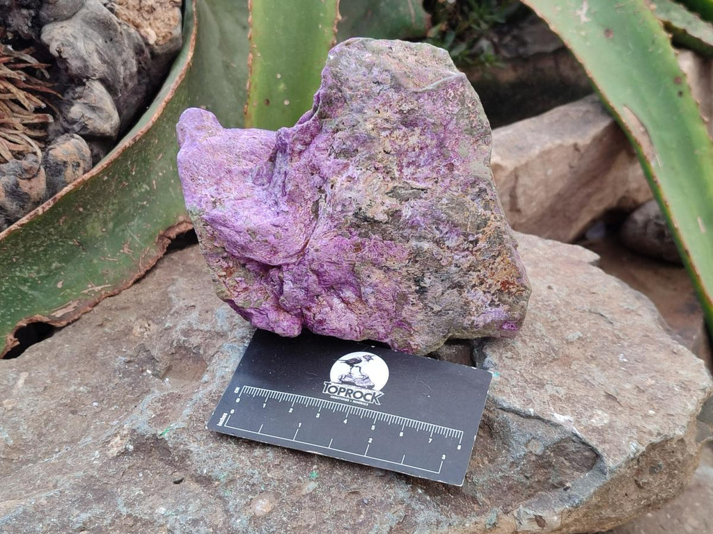 Natural Stichtite Cobbed Specimens x 3 From Barberton, South Africa