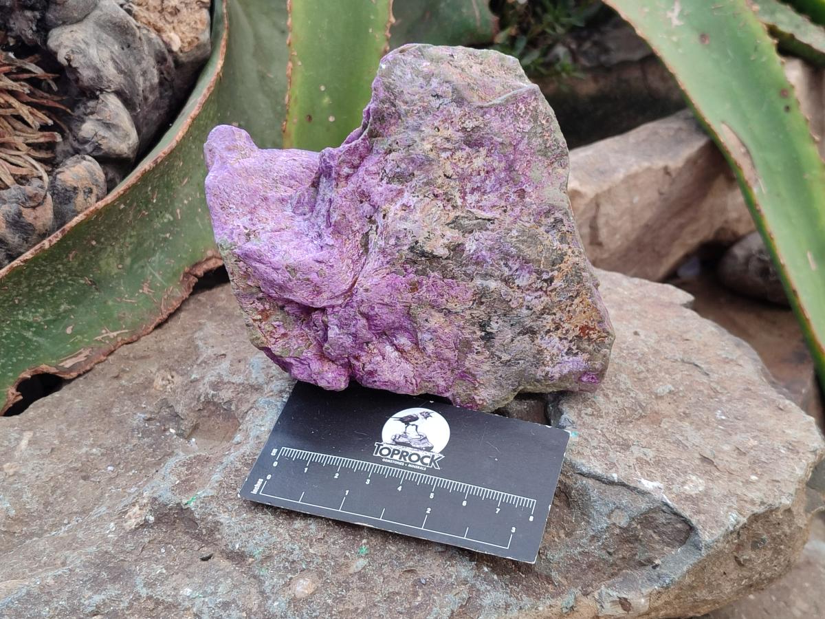 Natural Stichtite Cobbed Specimens x 3 From Barberton, South Africa