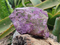 Natural Stichtite Cobbed Specimens x 3 From Barberton, South Africa