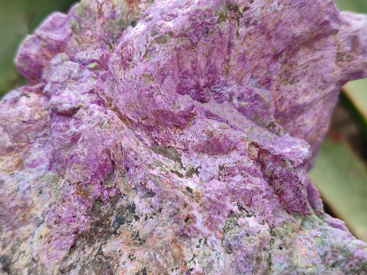 Natural Stichtite Cobbed Specimens x 3 From Barberton, South Africa