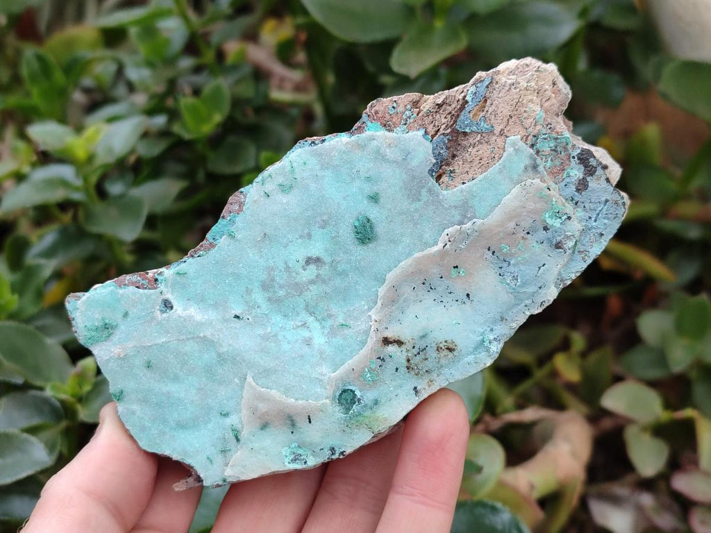 Natural Drusy Coated Chrysocolla On Dolomite Specimens x 5 From Lupoto Mine, Congo - Toprock Gemstones and Minerals 