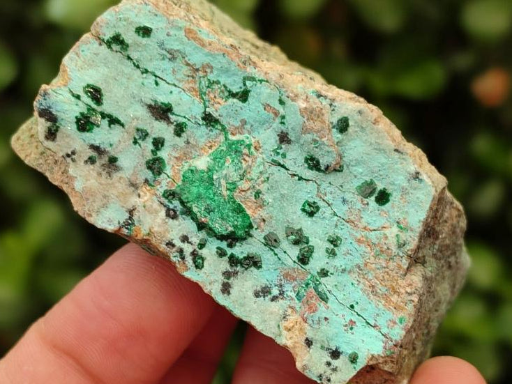 Natural Drusy Coated Chrysocolla On Dolomite Specimens x 5 From Lupoto Mine, Congo - Toprock Gemstones and Minerals 