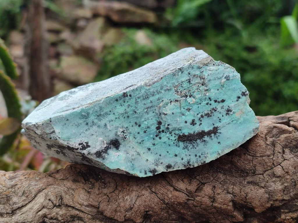 Natural Drusy Coated Chrysocolla On Dolomite Specimens x 5 From Lupoto Mine, Congo - Toprock Gemstones and Minerals 