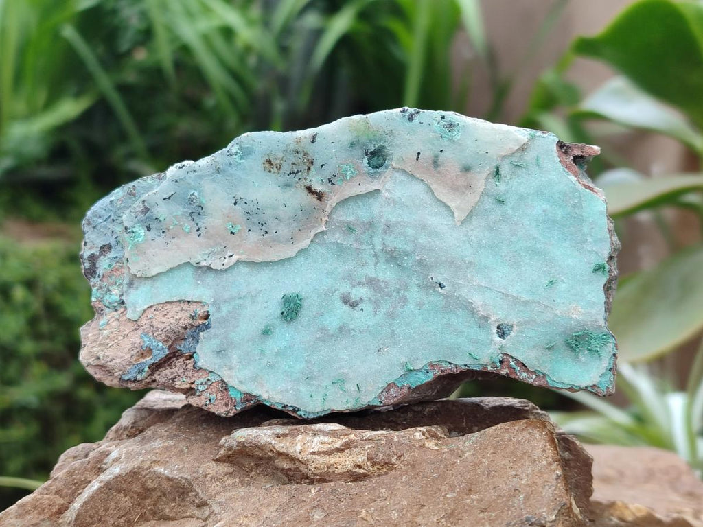 Natural Drusy Coated Chrysocolla On Dolomite Specimens x 5 From Lupoto Mine, Congo - Toprock Gemstones and Minerals 