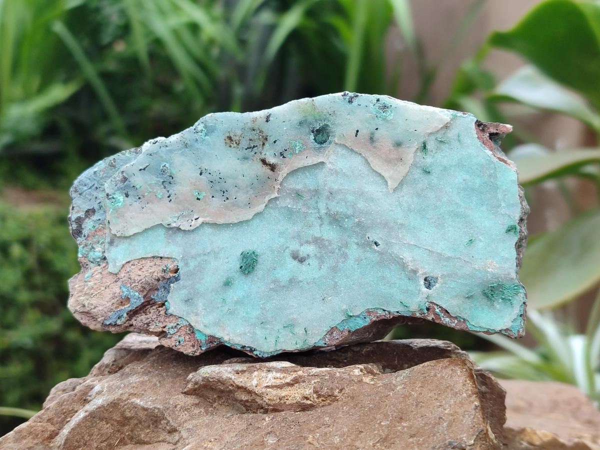 Natural Drusy Coated Chrysocolla On Dolomite Specimens x 5 From Lupoto Mine, Congo - Toprock Gemstones and Minerals 