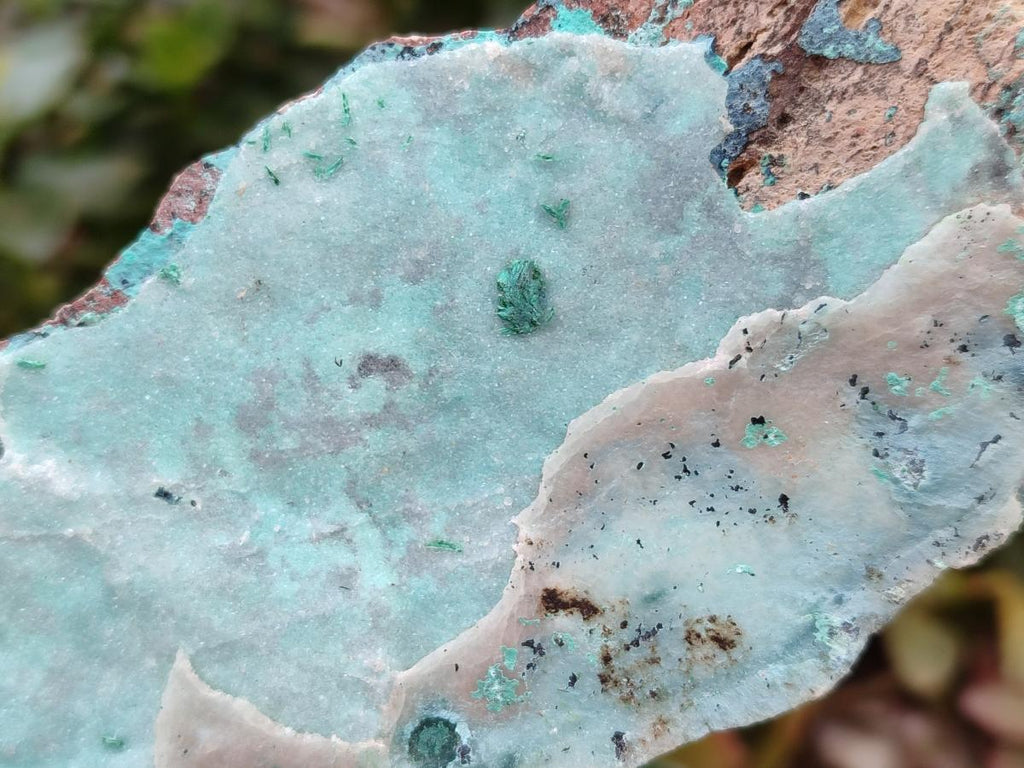 Natural Drusy Coated Chrysocolla On Dolomite Specimens x 5 From Lupoto Mine, Congo - Toprock Gemstones and Minerals 