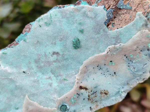 Natural Drusy Coated Chrysocolla On Dolomite Specimens x 5 From Lupoto Mine, Congo