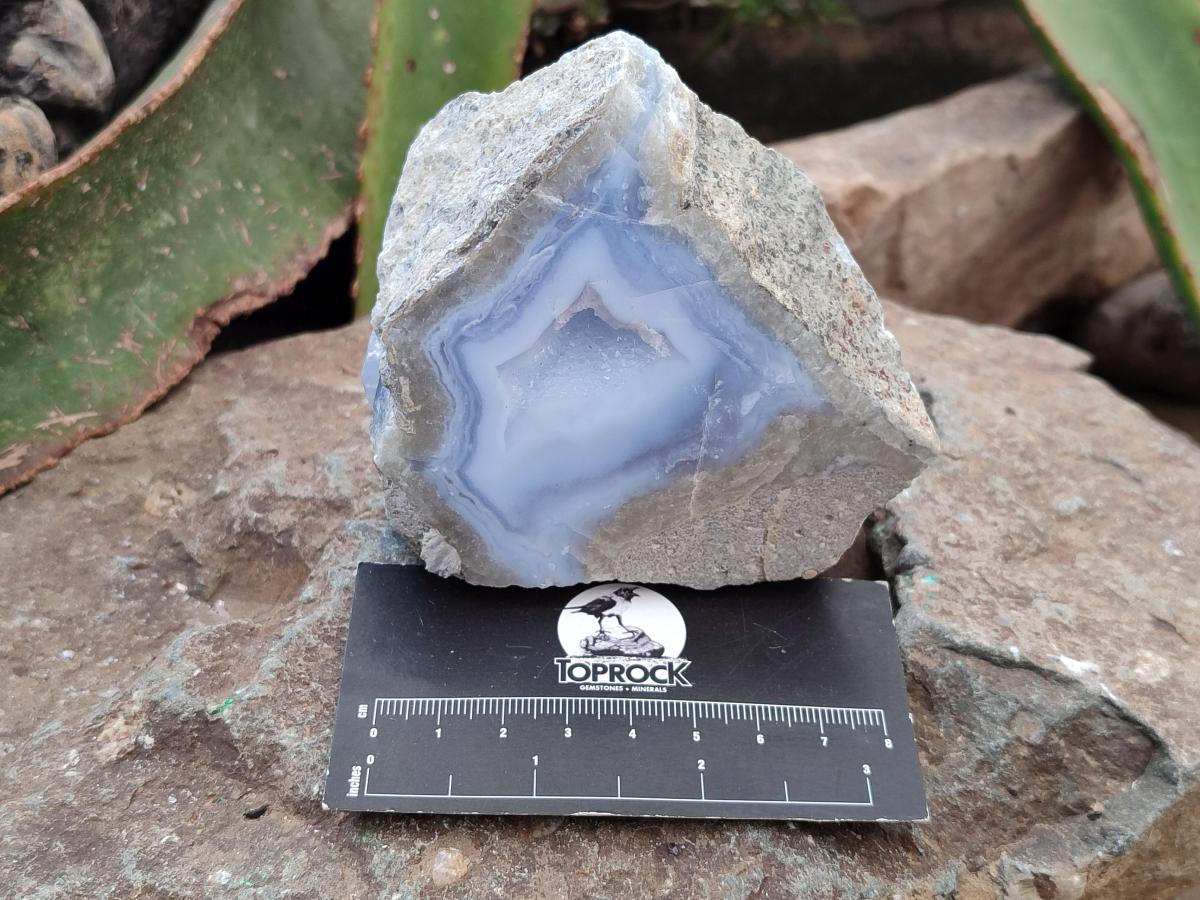 Polished On One Side Blue Lace Agate Geodes x 4 From Nsanje, Malawi