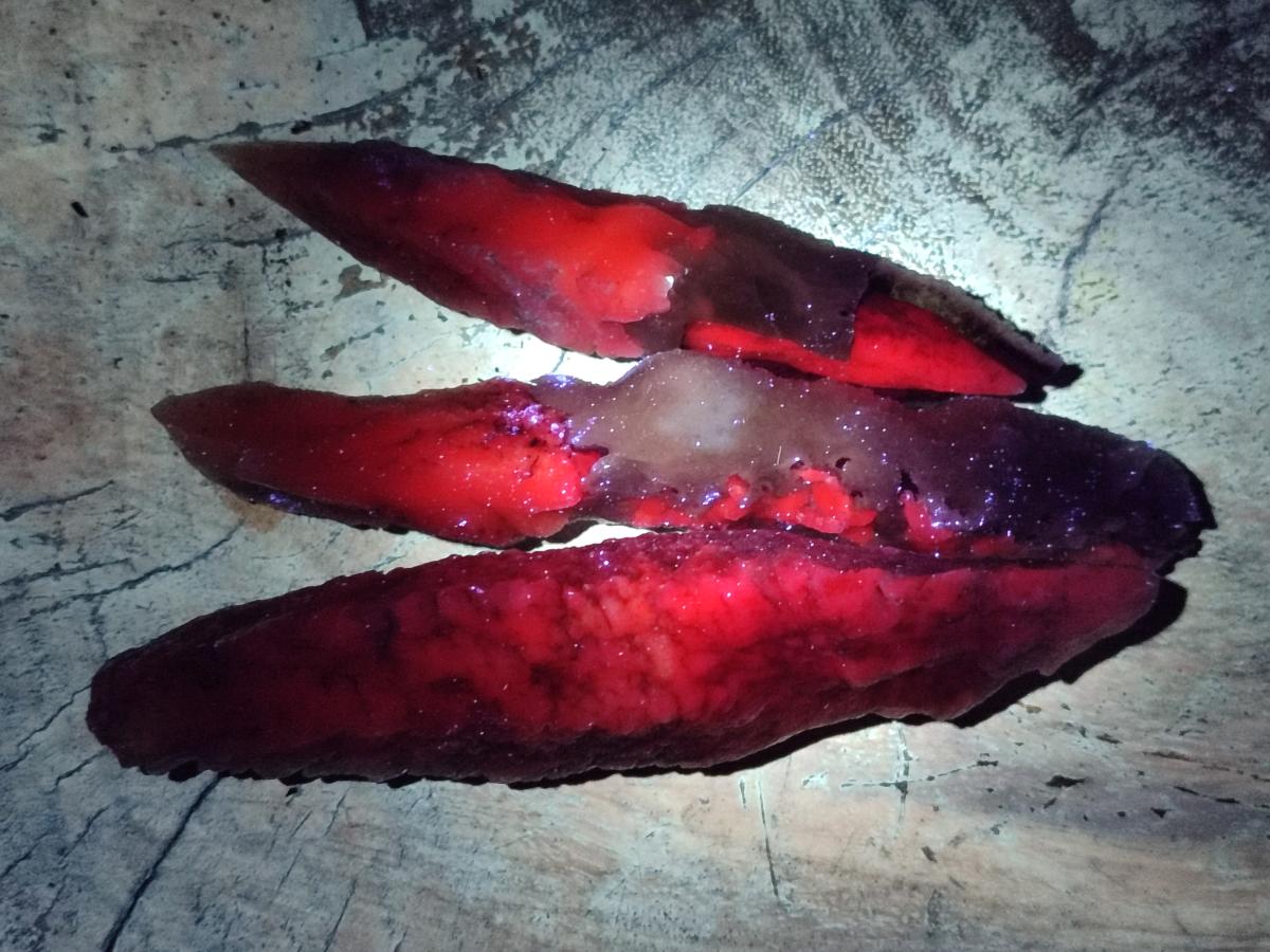 Natural Drusy Quartz Coated Spearhead Calcite Specimens x 24 From Albert's Mountain, Lesotho