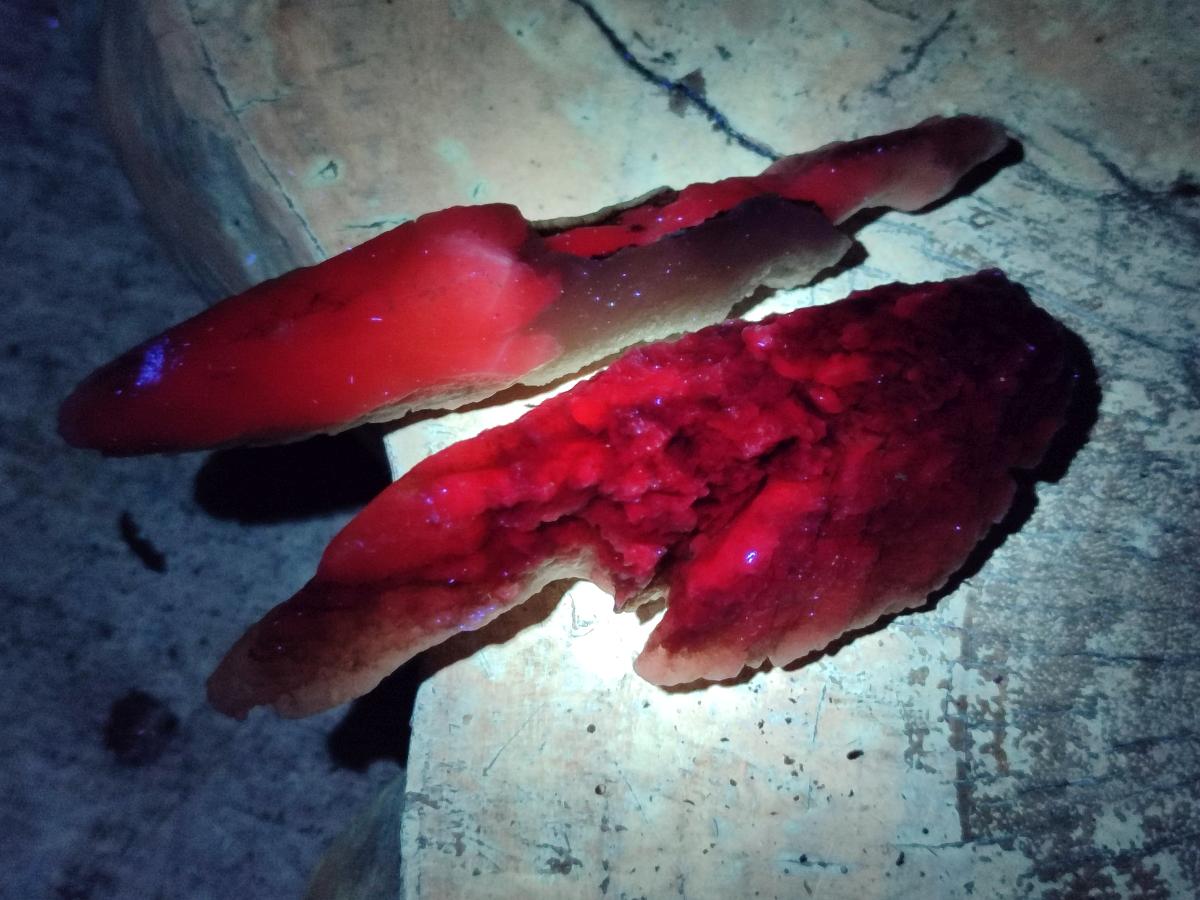 Natural Drusy Quartz Coated Spearhead Calcite Specimens x 24 From Albert's Mountain, Lesotho
