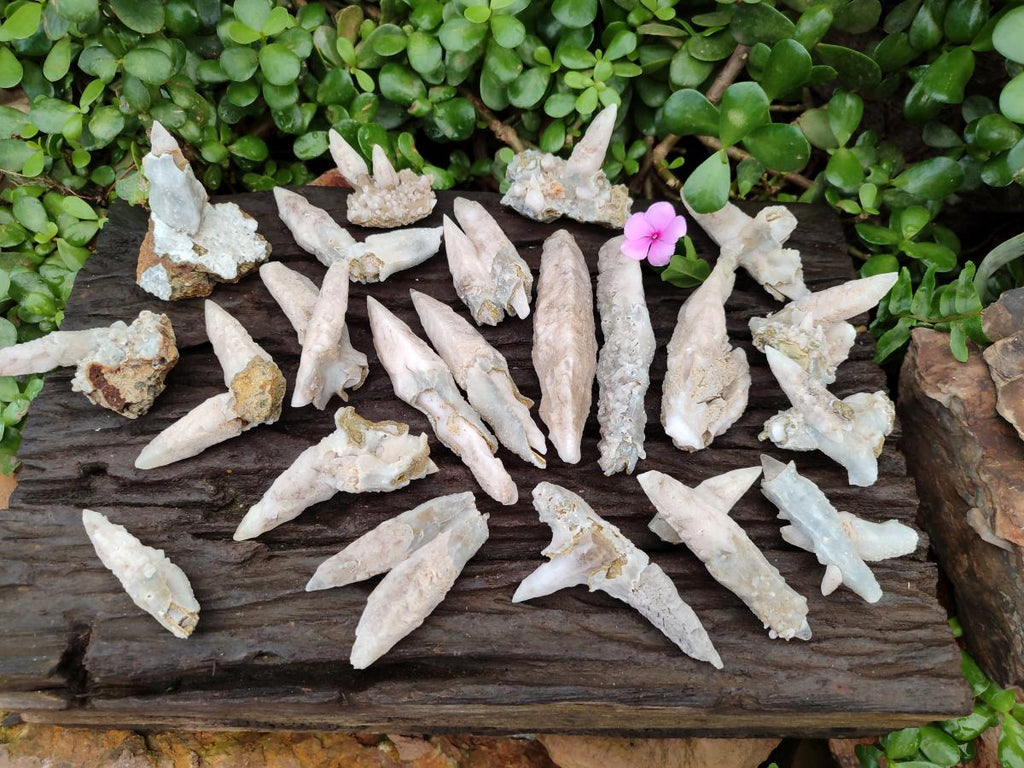 Natural Drusy Quartz Coated Spearhead Calcite Specimens x 24 From Albert's Mountain, Lesotho