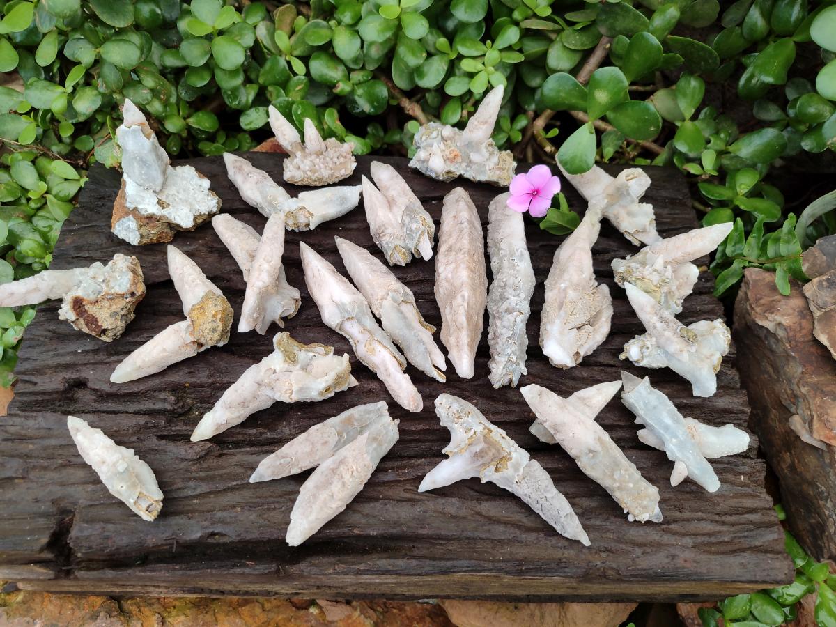 Natural Drusy Quartz Coated Spearhead Calcite Specimens x 24 From Albert's Mountain, Lesotho