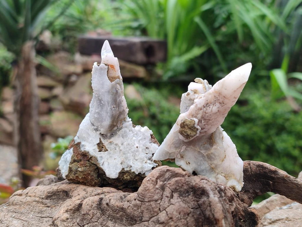 Natural Drusy Quartz Coated Spearhead Calcite Specimens x 24 From Albert's Mountain, Lesotho