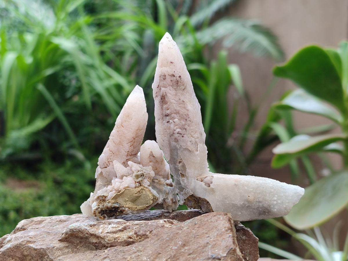 Natural Drusy Quartz Coated Spearhead Calcite Specimens x 24 From Albert's Mountain, Lesotho