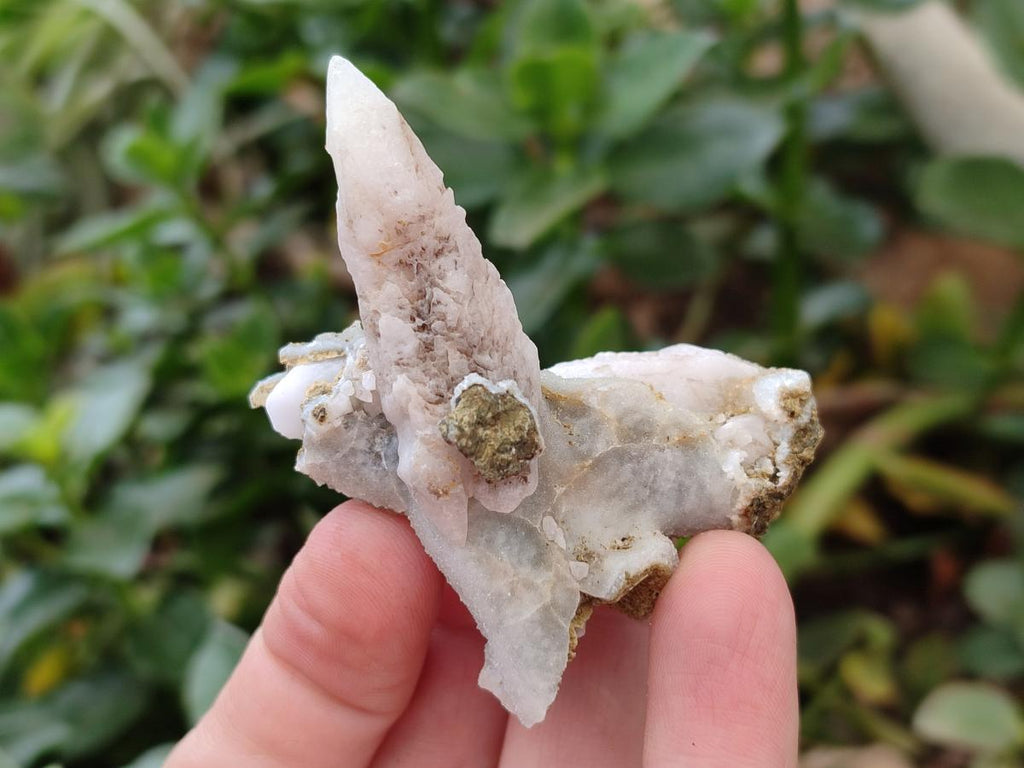 Natural Drusy Quartz Coated Spearhead Calcite Specimens x 24 From Albert's Mountain, Lesotho