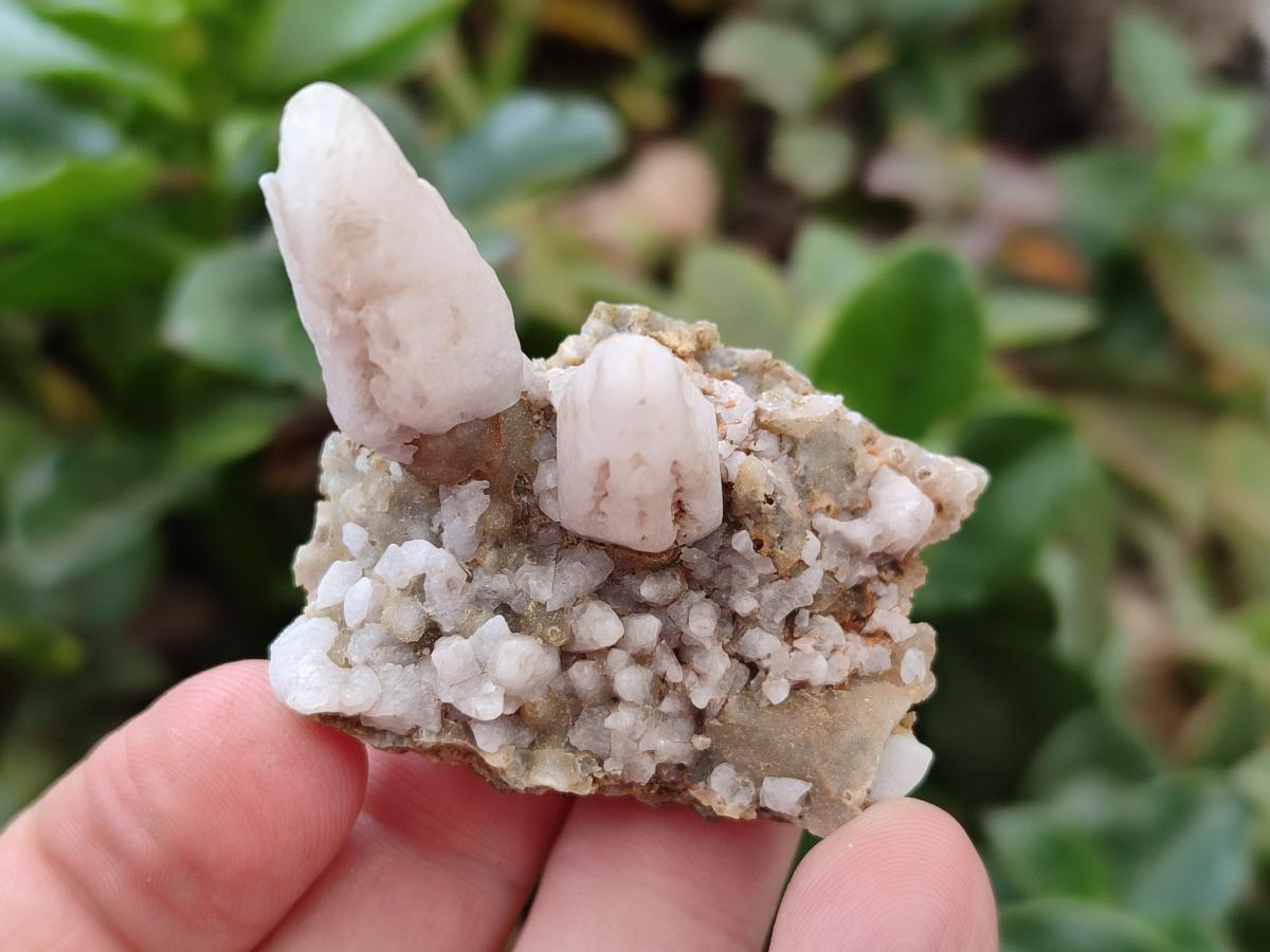 Natural Drusy Quartz Coated Spearhead Calcite Specimens x 24 From Albert's Mountain, Lesotho