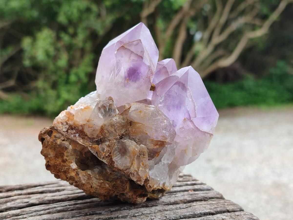 Natural Jacaranda Amethyst Clusters x 6 From Mumbwa, Zambia