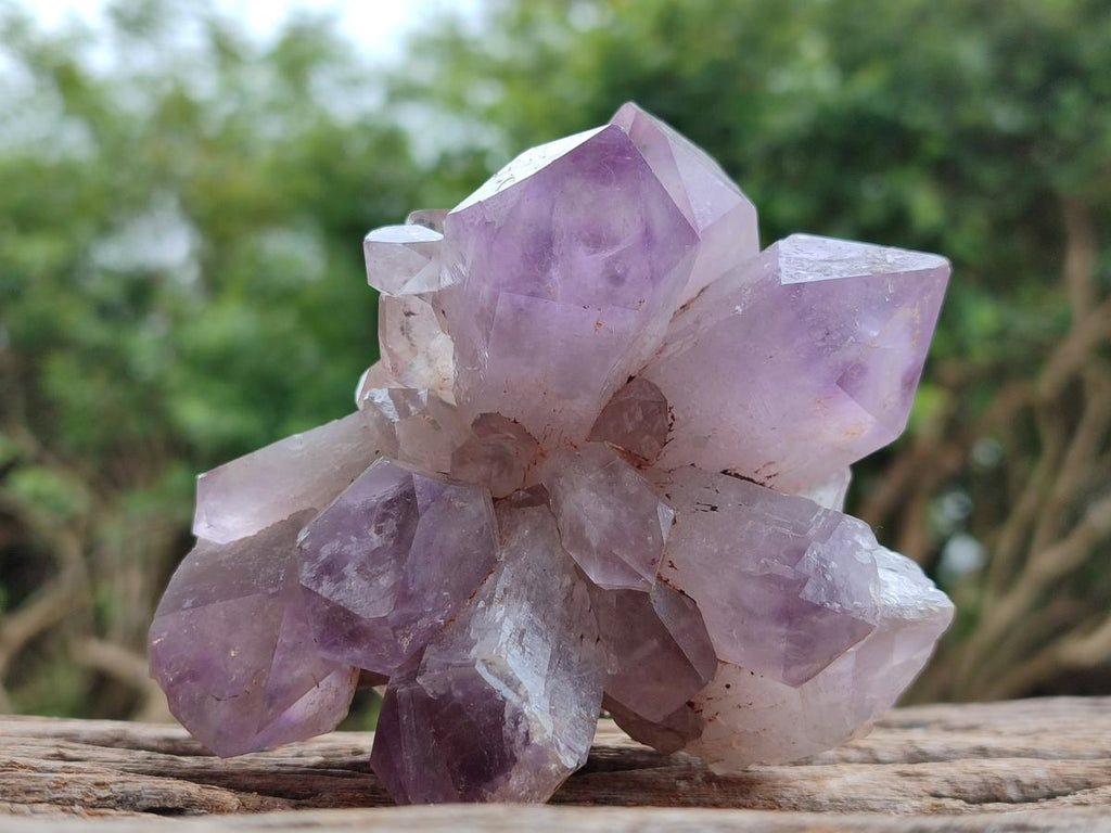 Natural Jacaranda Amethyst Clusters x 6 From Mumbwa, Zambia