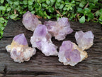 Natural Jacaranda Amethyst Clusters x 6 From Mumbwa, Zambia