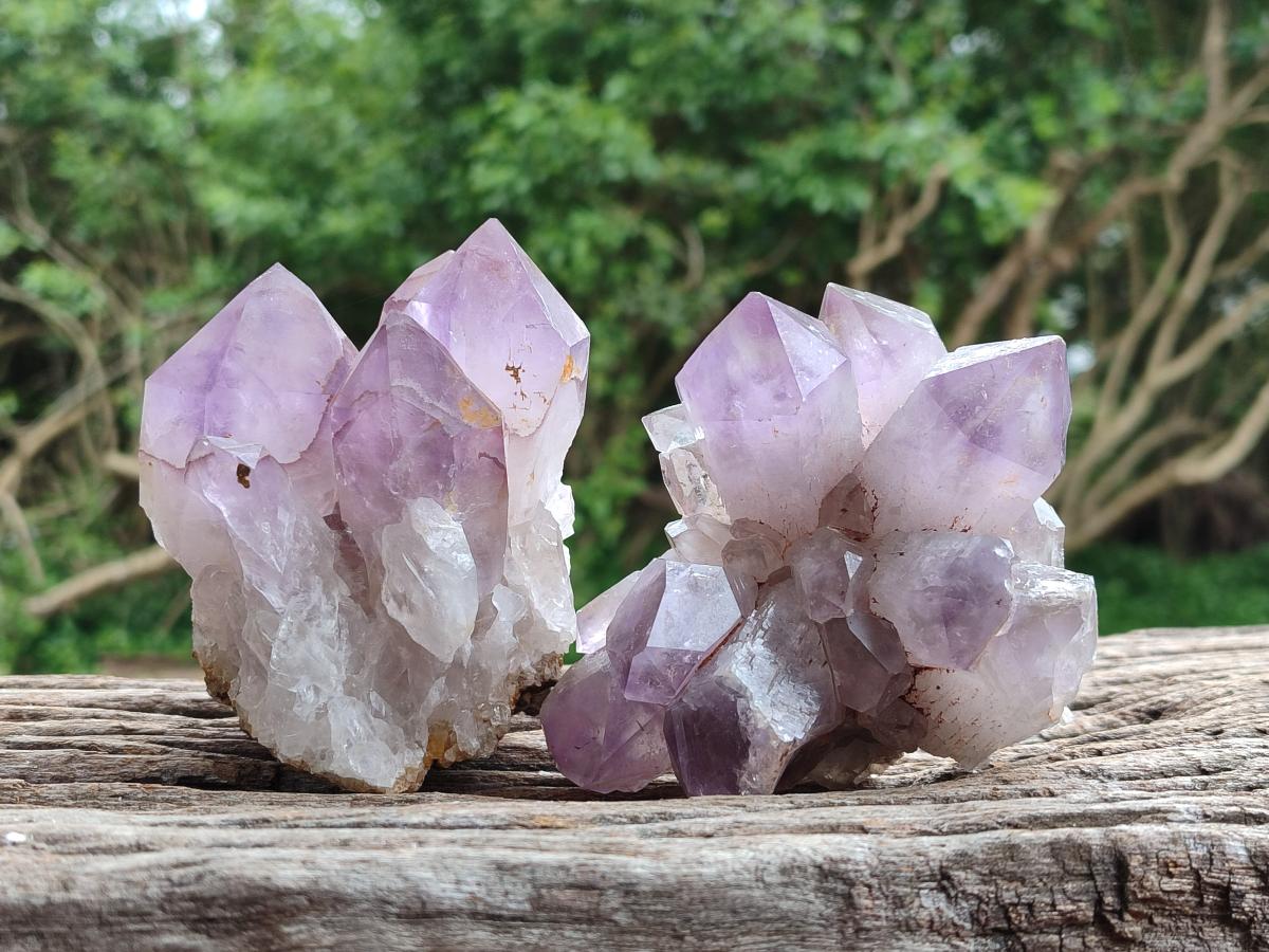 Natural Jacaranda Amethyst Clusters x 6 From Mumbwa, Zambia