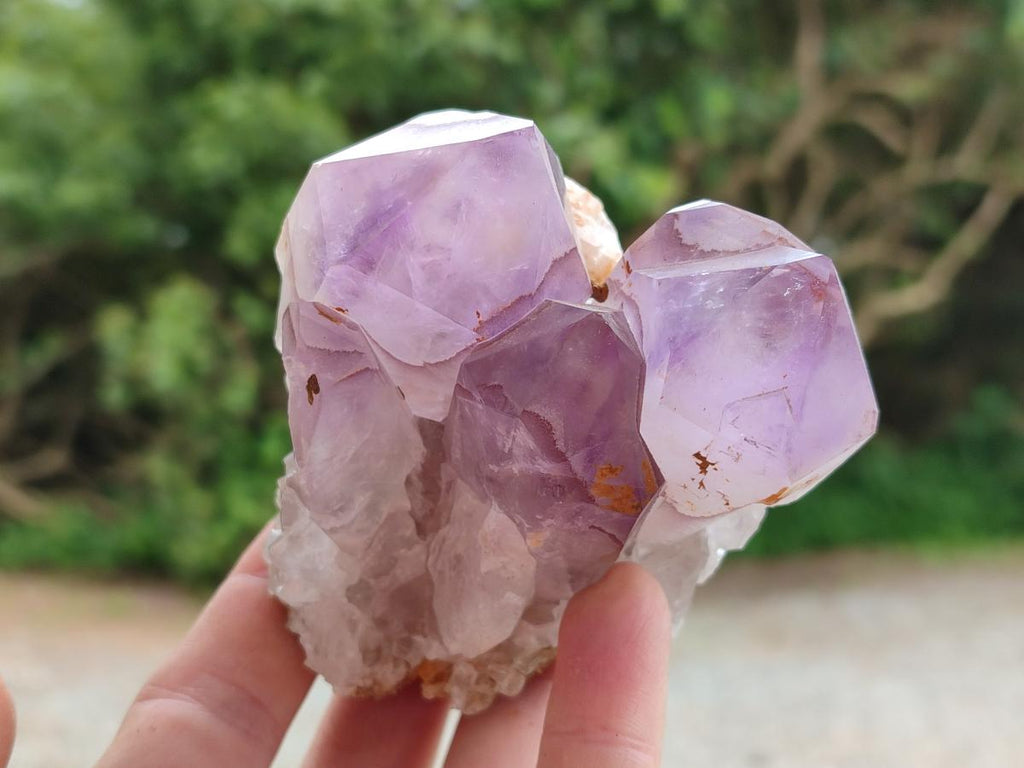 Natural Jacaranda Amethyst Clusters x 6 From Mumbwa, Zambia
