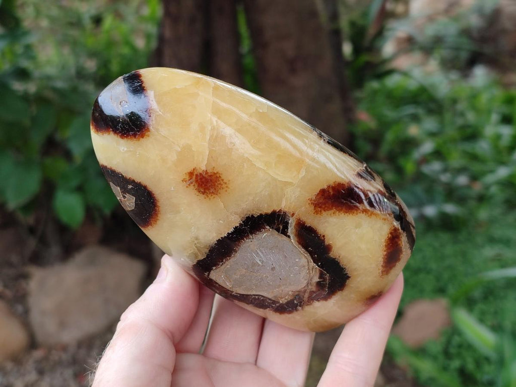 Polished Septerye Standing Free Forms x 4 From Mahajanga, Madagascar