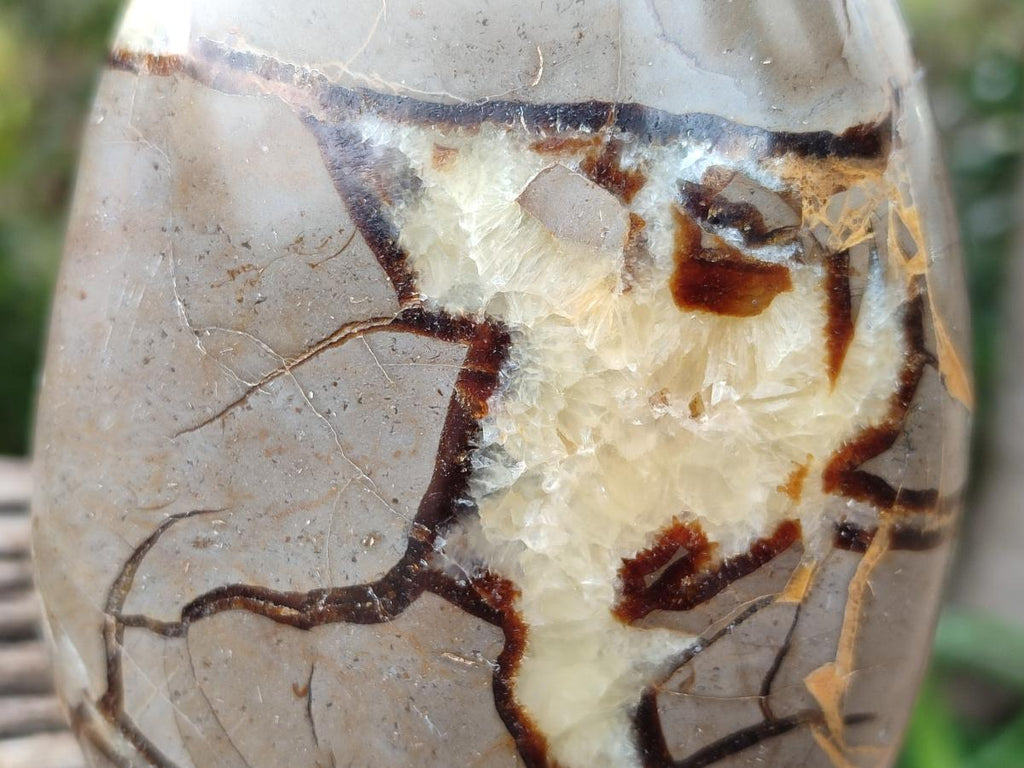 Polished Septerye Standing Free Forms x 4 From Mahajanga, Madagascar