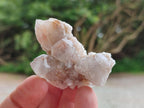 Natural Fairy Limonite Spirit Quartz Crystals x 35 From Boekenhouthoek, South Africa