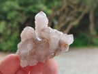 Natural Fairy Limonite Spirit Quartz Crystals x 35 From Boekenhouthoek, South Africa