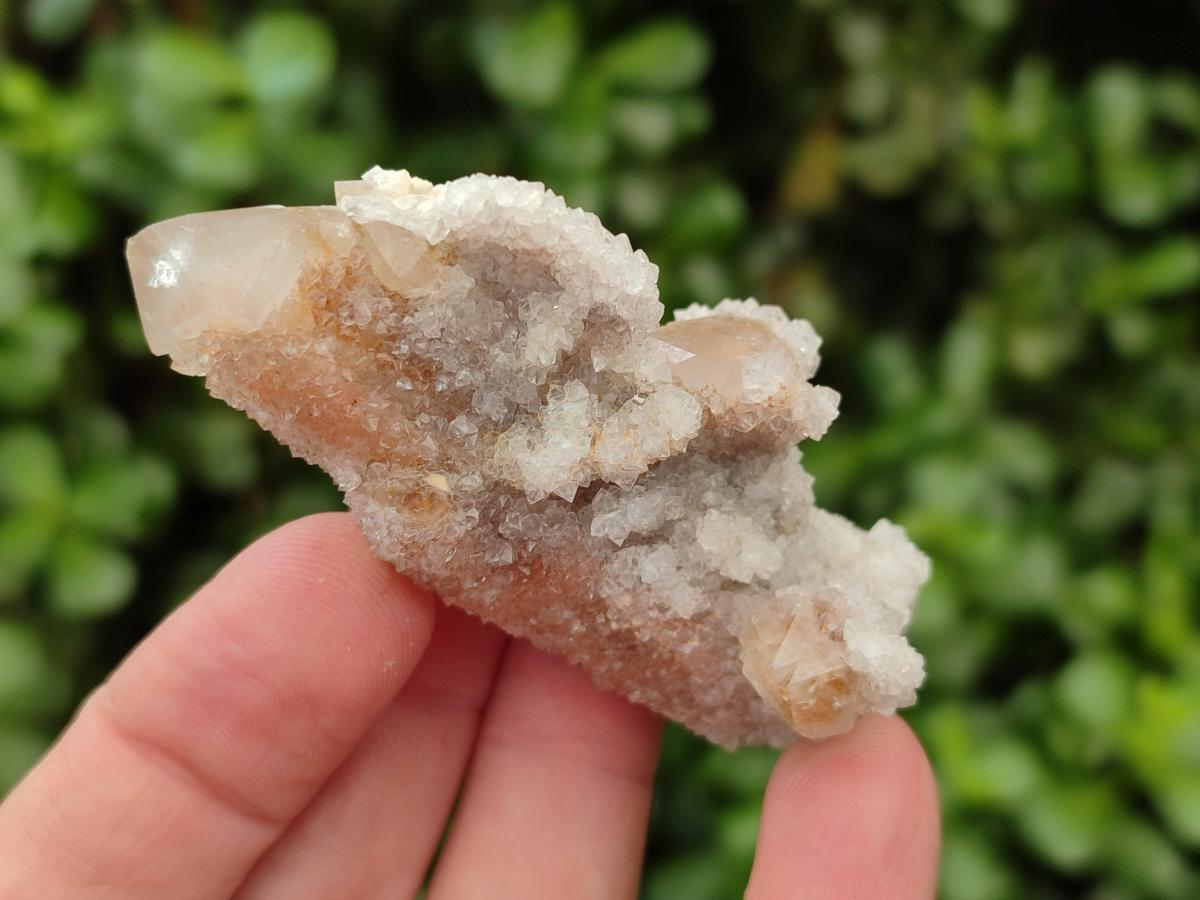 Natural Fairy Limonite Spirit Quartz Crystals x 35 From Boekenhouthoek, South Africa