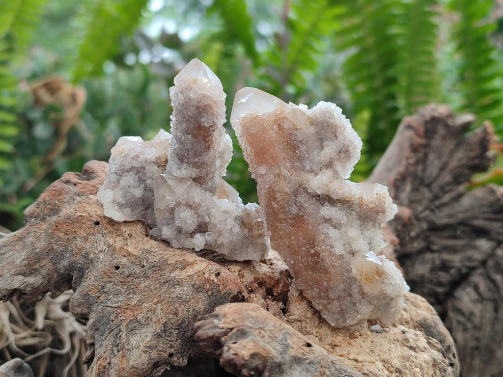 Natural Fairy Limonite Spirit Quartz Crystals x 35 From Boekenhouthoek, South Africa