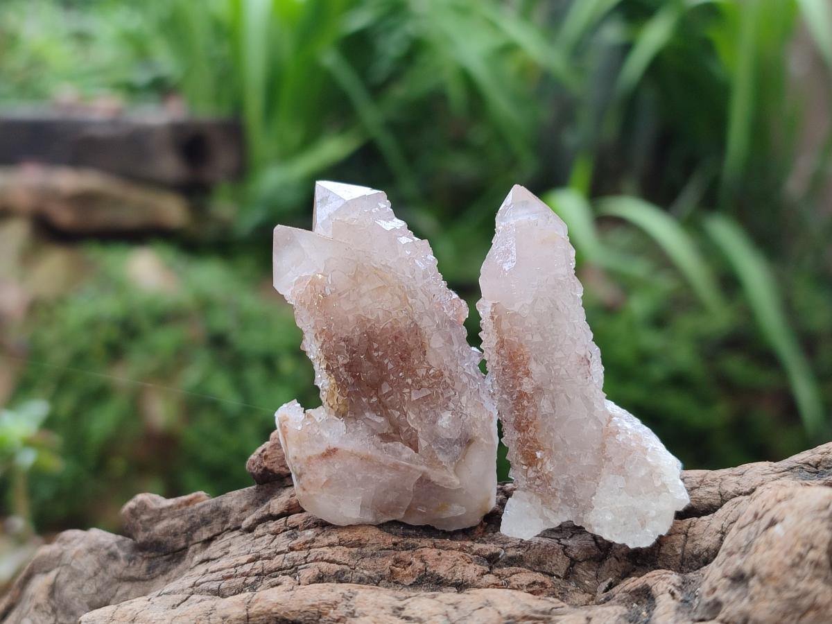 Natural Fairy Limonite Spirit Quartz Crystals x 35 From Boekenhouthoek, South Africa