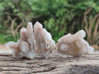 Natural Fairy Limonite Spirit Quartz Crystals x 35 From Boekenhouthoek, South Africa