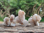 Natural Fairy Limonite Spirit Quartz Crystals x 35 From Boekenhouthoek, South Africa
