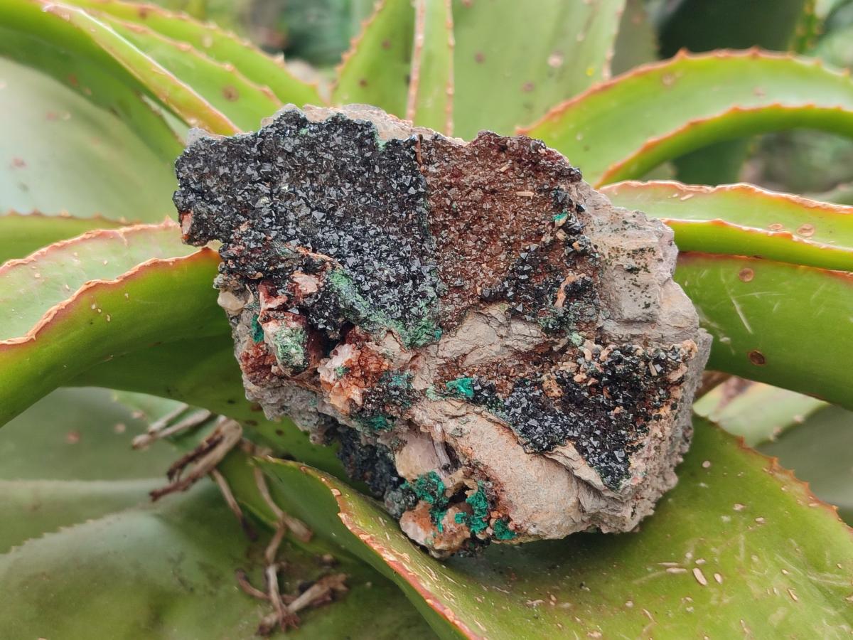 Natural Libethenite Crystals On Dolomite Matrix Specimens x 6 From Shituru, Congo - Toprock Gemstones and Minerals 