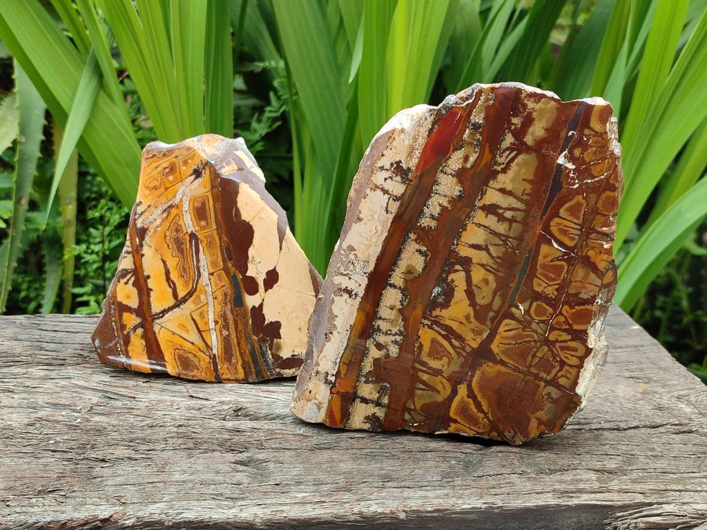 Polished On One Side Nguni Jasper Slices x 2 From Northern Cape, South Africa