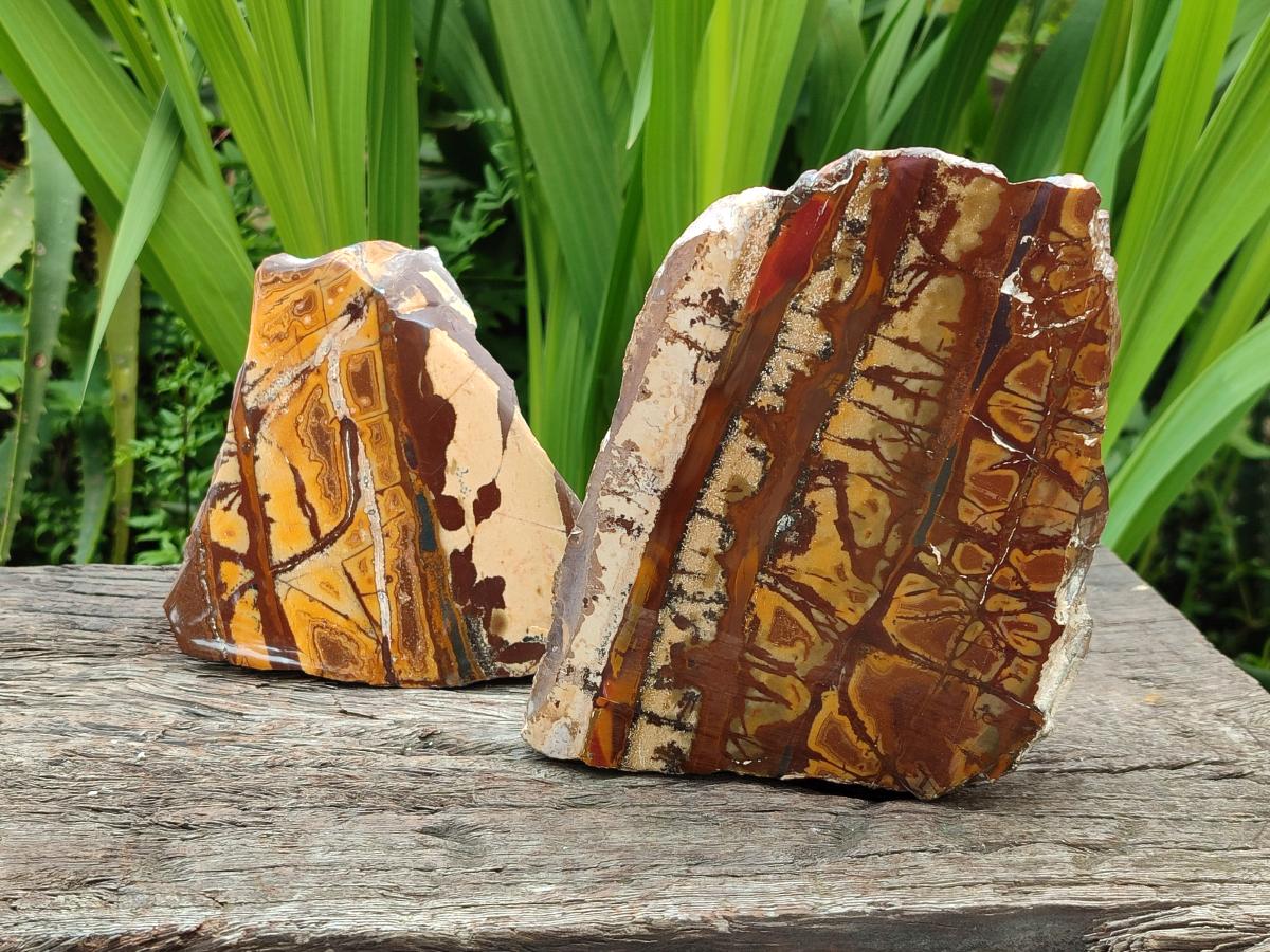 Polished On One Side Nguni Jasper Slices x 2 From Northern Cape, South Africa