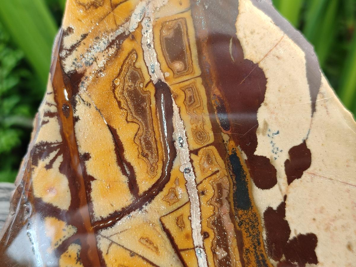 Polished On One Side Nguni Jasper Slices x 2 From Northern Cape, South Africa