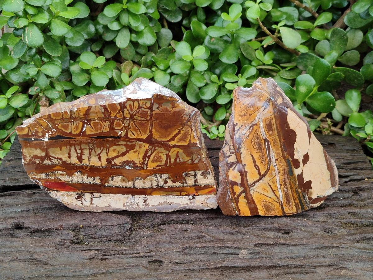 Polished On One Side Nguni Jasper Slices x 2 From Northern Cape, South Africa