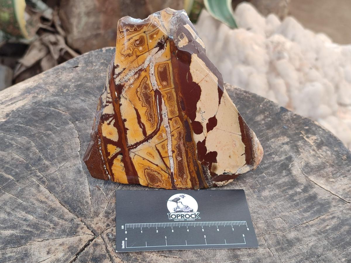 Polished On One Side Nguni Jasper Slices x 2 From Northern Cape, South Africa