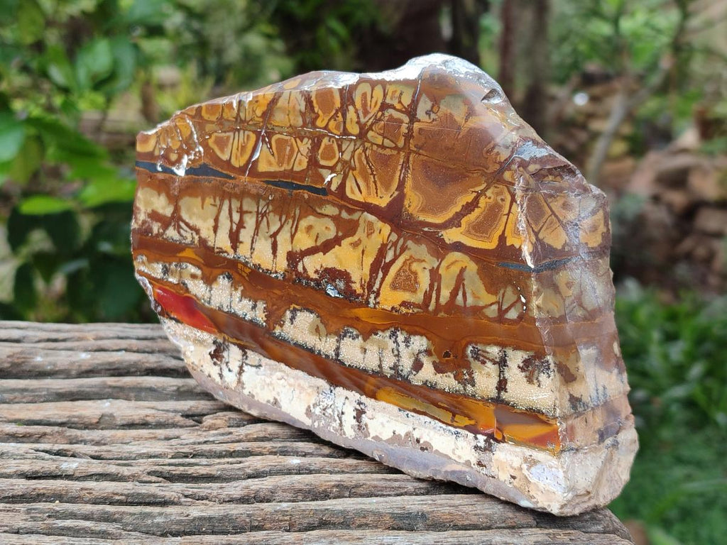 Polished On One Side Nguni Jasper Slices x 2 From Northern Cape, South Africa