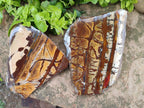 Polished On One Side Nguni Jasper Slices x 2 From Northern Cape, South Africa