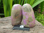 Polished Stichtite Standing Free Forms x 2 From Barberton, South Africa
