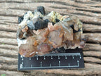 Natural Schorl Black Tourmaline with Associated Minerals x 6 From Erongo, Namibia